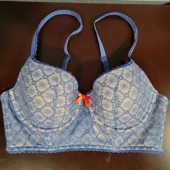 Victoria's Secret Other - 3 for $20 - Body by Victoria Pastel Corset Lace Blue Bra 34C